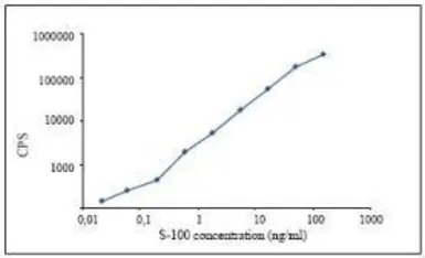 S100 antibody [8B10]