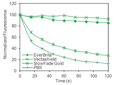 EverBrite Mounting Medium 2300