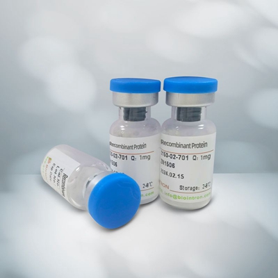 Recombinant Human CD7/His&Avi 