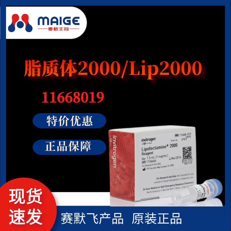 脂质体2000/Lip2000转染试剂 11668019-1.5mL invitrogen