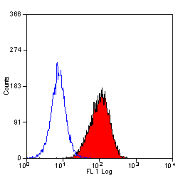CD34 antibody [MEC14.7] (PE)