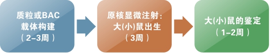 转基因小鼠丨转基因大鼠