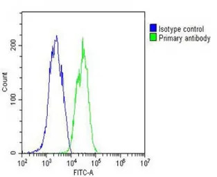 Interferon beta antibody, N-te