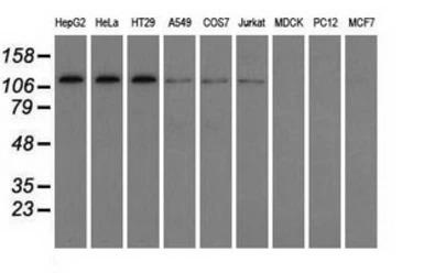 产品细节图片12