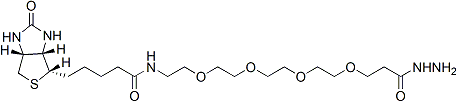 Biotin-PEO4-hydrazide 90111