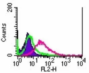 sRANKL antibody [12A380]