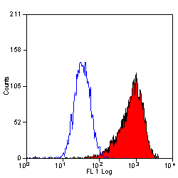 CD34 antibody [MEC14.7] (PE)