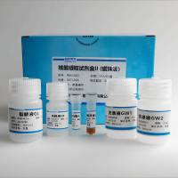 核酸(DNA/RNA)提取试剂盒(磁珠法)