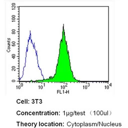 Importin beta 1 antibody [3E9]