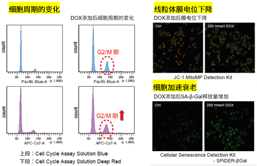 1622681451822025.png 1622681451822025.png