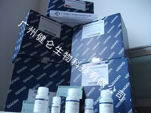 病毒RNA提取试剂盒