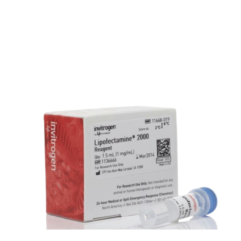 11668019*invitrogen*脂质体2000/Li