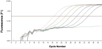 荧光定量试剂盒，SYRB GREEN