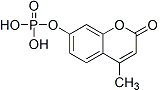 MUP,游离酸 Biotium 10009
