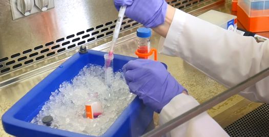 1565679799876913.jpg 8.jpg