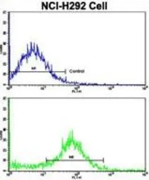 VTI1A antibody, C-term