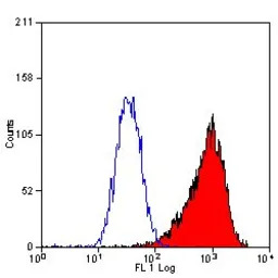 CD34 antibody [MEC14.7] (Low e