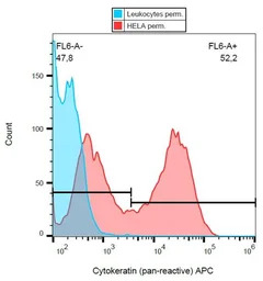 pan Cytokeratin antibody [C-11