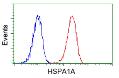 Hsp70 antibody [5F3]