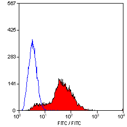 CD81 antibody [Eat 2] (PE)