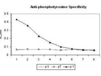 Phosphotyrosine antibody [13F9