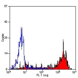 Ly-6B.2 antibody [7/4] (Low en