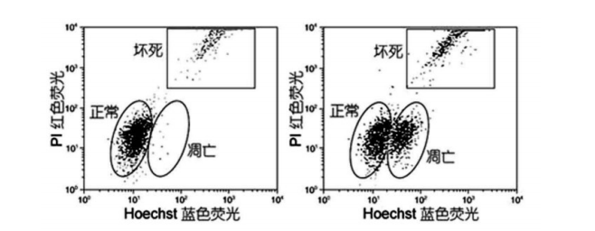 Hoechst 33342/PI双染试剂盒