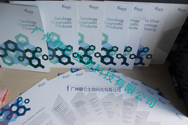 恙虫病荧光玻片