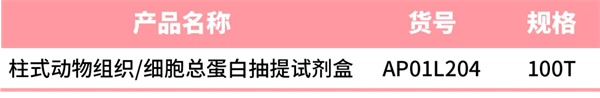 半价上新｜柱式蛋白抽提试剂盒限时优惠，WB系列大促