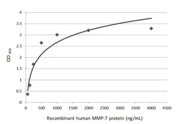 MMP7 antibody [C2C3], C-term