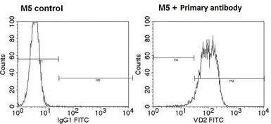 TCR V delta 2 antibody [15D]
