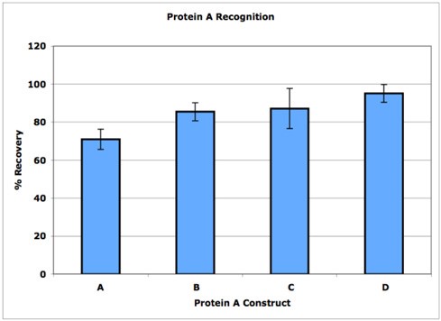 抗体药protein A残留检测- Protein A ELISA Kit 抗体药protein A残留检测- Protein A ELISA Kit