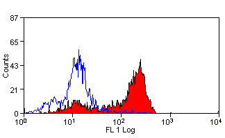 CD2 antibody [LT2] (FITC)
