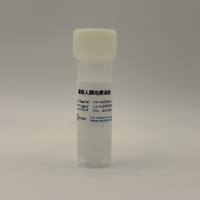 重组人胰岛素溶液(10mg/ml)