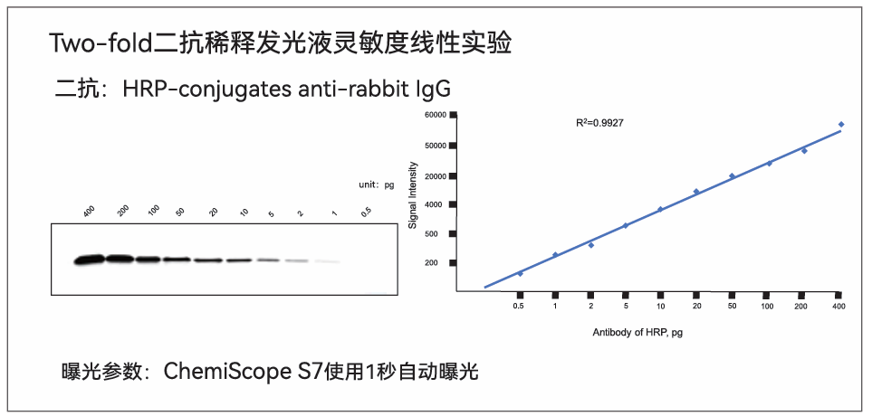 重磅新品|ChemiScope S7 一体式超高灵敏度化学发光成像仪发布
