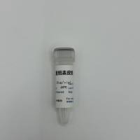 人重组表皮细胞生长因子