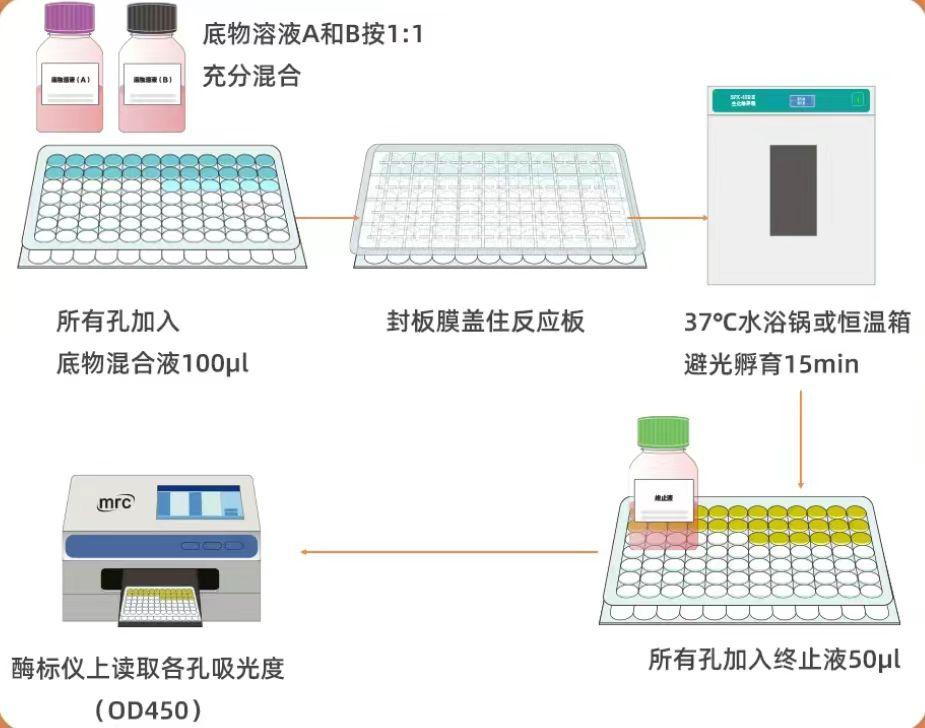 大鼠苗条素受体(LR/Ob-R)ELISA试剂盒