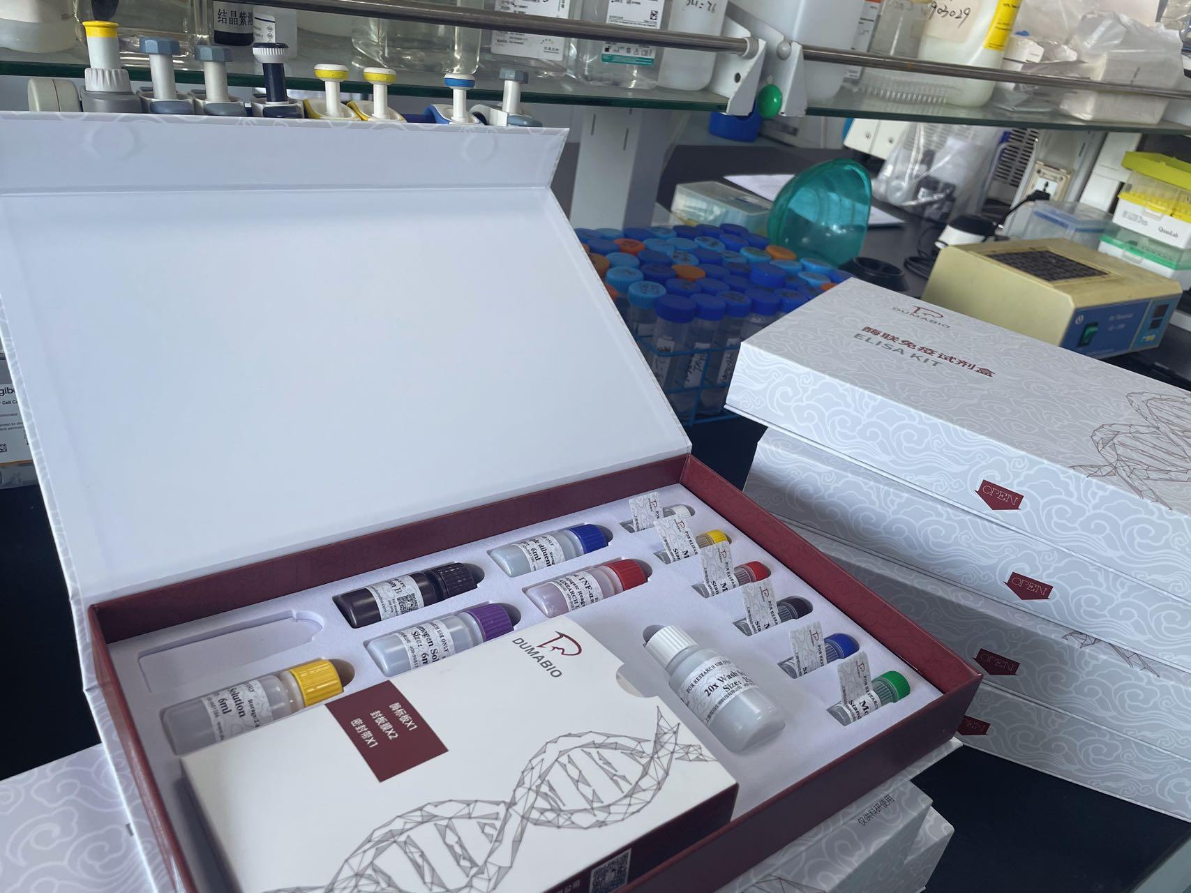 大鼠白介素16(IL-16)ELISA试剂盒