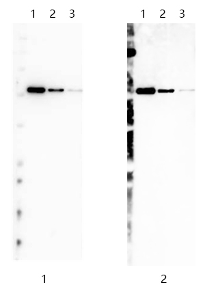 261569466849.jpg 261569466849.jpg