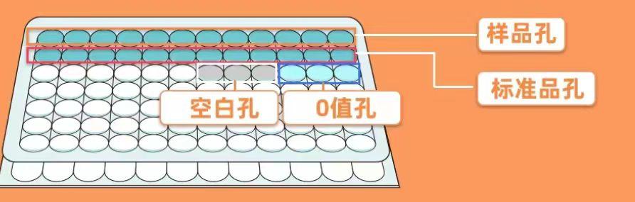 大鼠白介素16(IL-16)ELISA试剂盒