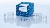 GeneRead Pure mRNA Kit (48)