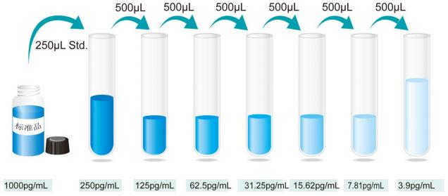 大鼠白介素16(IL-16)ELISA试剂盒