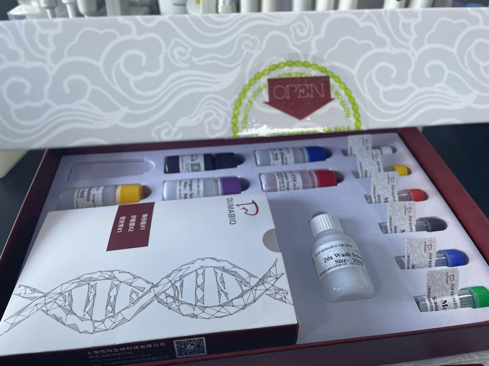 大鼠胎盘生长因子(PLGF)ELISA试剂盒