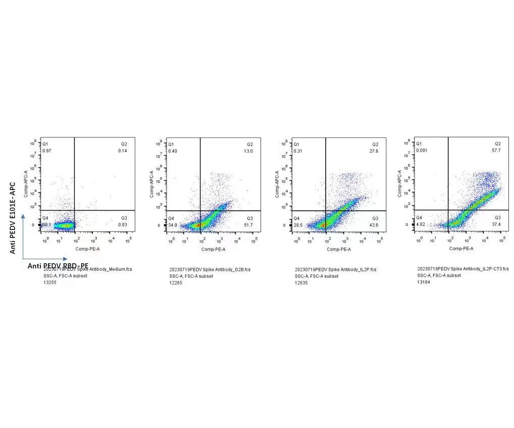 猪病毒性腹泻病毒PEDV膜蛋白S单克隆抗体