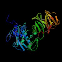 大鼠基质金属蛋白酶3(MMP-3)elisa试剂盒