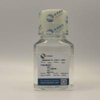 0.25%胰酶细胞消化液（不含EDTA，不含酚红）