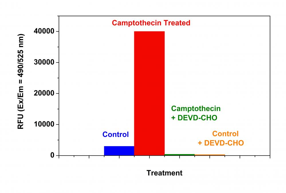 荧光法Caspase 3/7活性检测试剂盒 *绿色荧光*