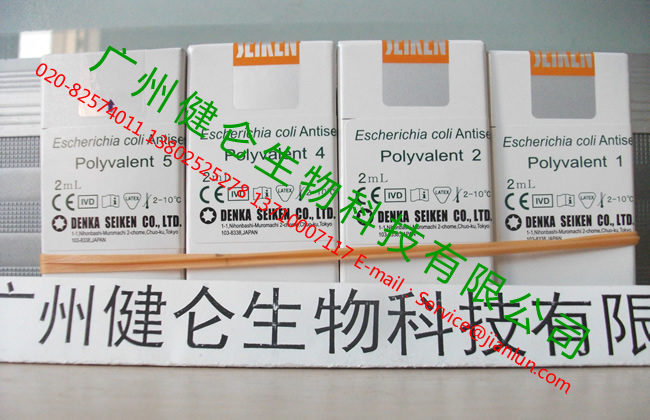 大肠埃希氏菌血清