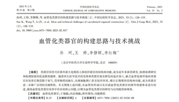研究进展丨血管化类器官的构建思路与技术挑战