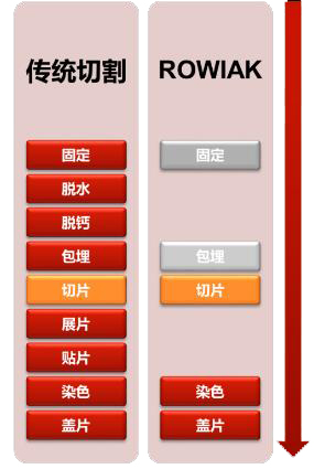 双光子3D组织切割成像系统-TissueSurgeon